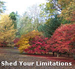 Shed Your Limitations