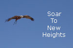 Soar To New Heights